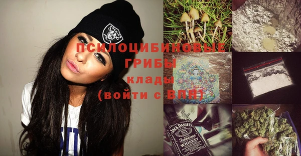 ГАЛЛЮЦИНОГЕННЫЕ ГРИБЫ Няндома