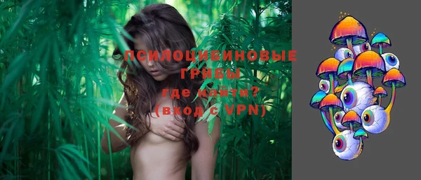 гидропоника Нягань