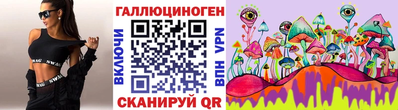 Галлюциногенные грибы Psilocybine cubensis  Купить где  Хвалынск 